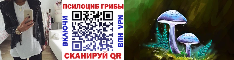 Галлюциногенные грибы Psilocybine cubensis  Кольчугино 